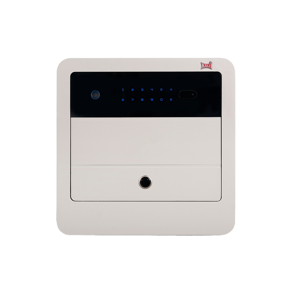 Elektronik Kasa
