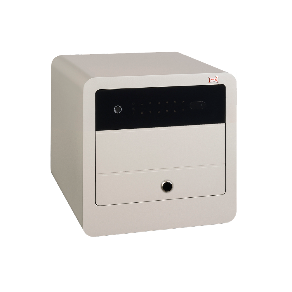 Elektronik Kasa