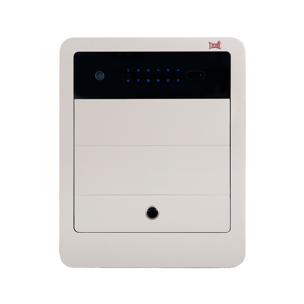 Elektronik Kasa