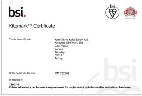Kitemark Sertifikası-TS007-KM732561